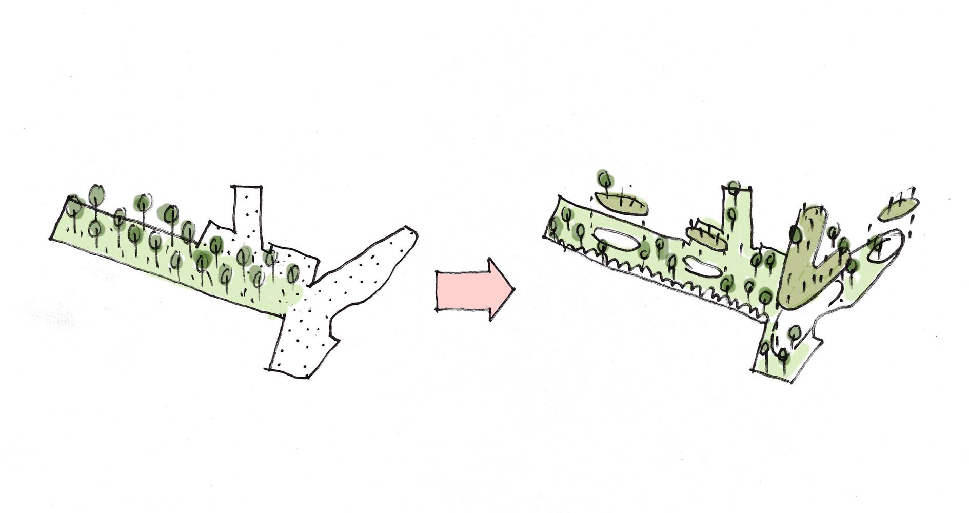 <p>Biodiversity habitat lost in the Green Corridor is replaced with improved habitat such as hedging and biodiverse green roofs.</p>